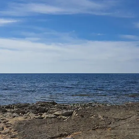 Donella * Umag